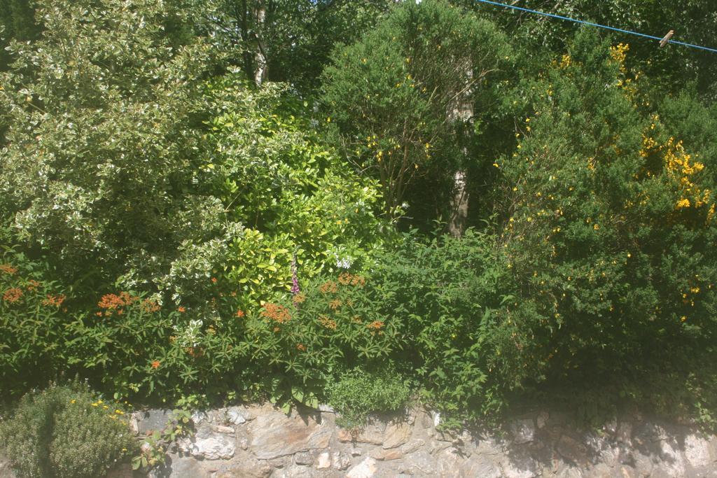 Laragh Mountain View Lodge Saggart 객실 사진