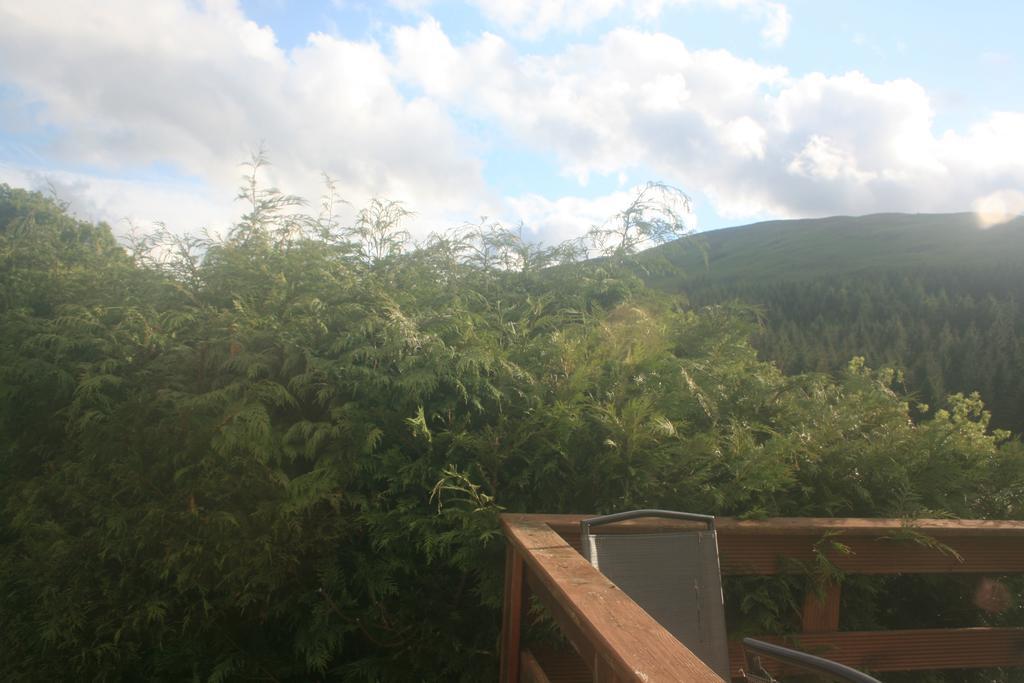 Laragh Mountain View Lodge Saggart 객실 사진