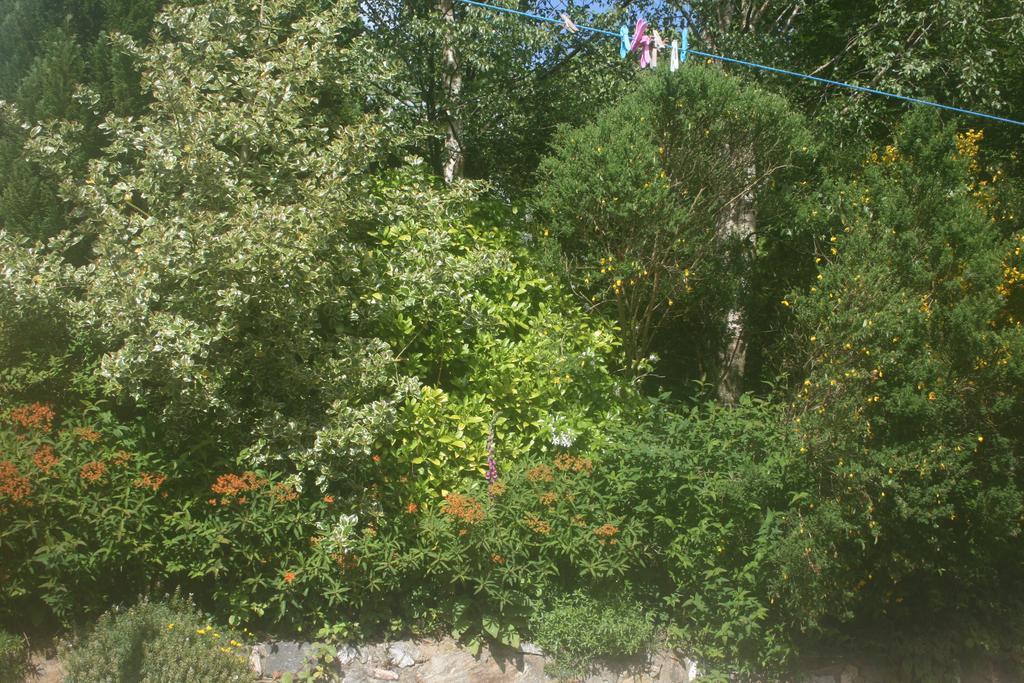 Laragh Mountain View Lodge Saggart 객실 사진