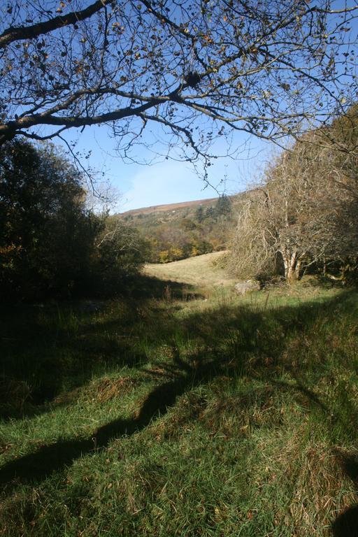 Laragh Mountain View Lodge Saggart 외부 사진