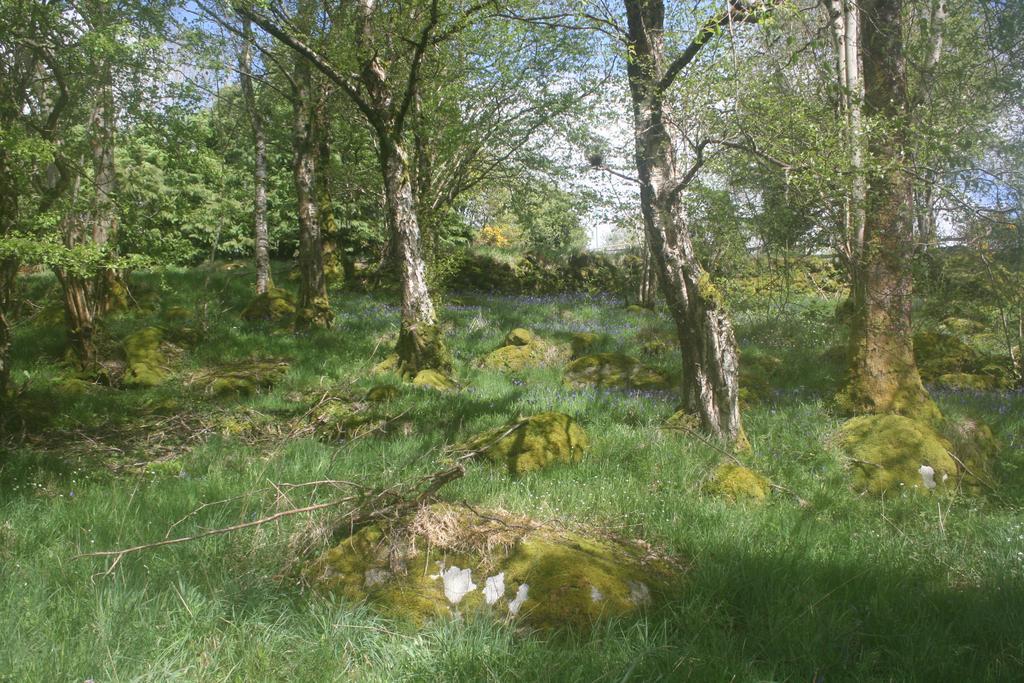 Laragh Mountain View Lodge Saggart 외부 사진